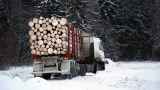 ЕС пытается остановить вырубку лесов, запрещая импорт продуктов