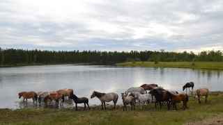 Самое популярное у туристов место республики Саха (Якутия) – Национальный парк «Ленские столбы» – не входит в арктическую территорию. В арктических районах (к ним относятся 13 из 34 якутских улусов) Якутии туризм не развит.